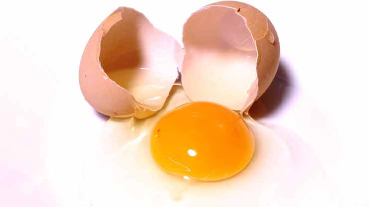 Verse Eieren